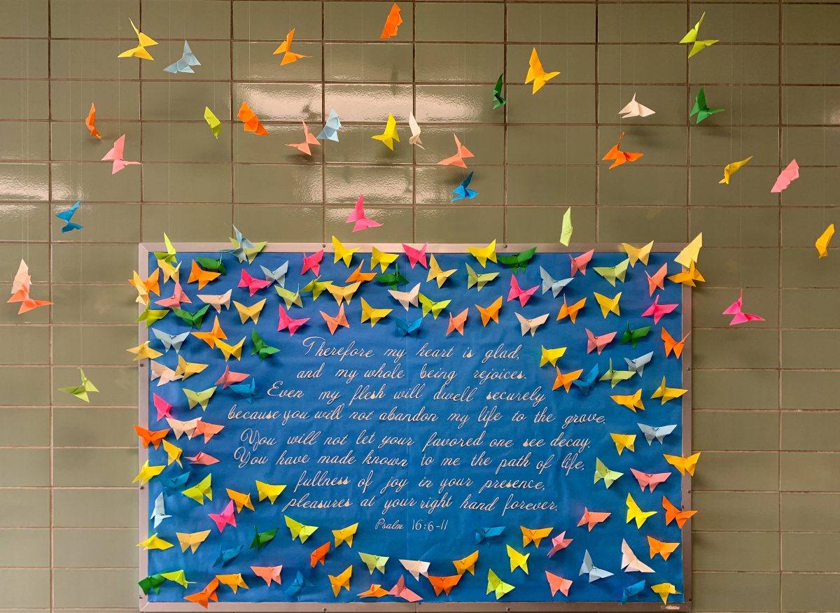 Blue Easter bulletin board surrounded by origami butterflies
